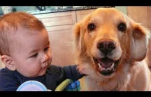 Dogs Loyalty to Baby Compilation