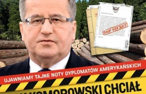 “Jak Komorowski chciał sprzedać Żydom polskie lasy”!