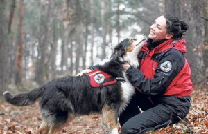 Rzeszów: Oskar, owczarek ze STORAT-u uratował staruszkę. Odnalazł ją w...