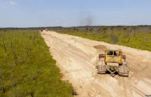 Buldożery niszczą jedno z ostatnich naturalnych bagien Polesia WIDEO