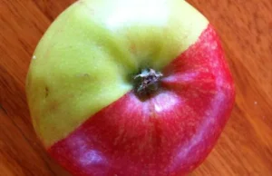 Zmutowane jabłko z Australii