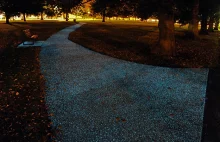 Świecące chodniki w parku w Cambridge [ENG]