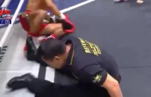 Zawodnik Muay Thai znokautował w jednej akcji rywala i... sędziego [WIDEO]
