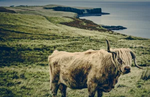 Kanadyjski fotograf prezentuje bajeczne krajobrazy Szkocji