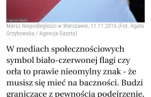 "GW" o mlodych Polakach- internautach.
