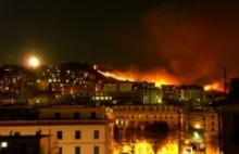 Al-Kaida odpowiedzialna za pożary lasów w Europie?