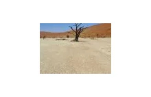 Dead Vlei - cmentarzysko martwych drzew na pustyni Namib.