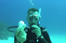 Surowe jajko rozbite 20 metrów pod wodą