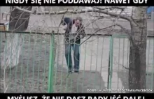 Nigdy się nie poddawaj!