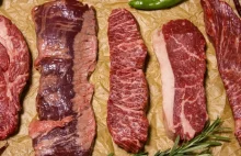 GIS przebadał 400 próbek mięsa wołowego, Nie stwierdzono salmonelli