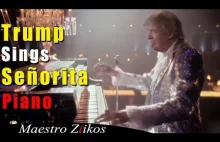 Señorita - Cover ;) (Trump feat. Putin)