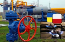 Polska jest ważnym partnerem dla Ukrainy. Wirtualny import gazu to początek?