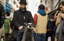 Populacja Japonii kurczy się w zatrważającym tempie.