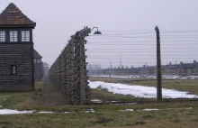 "SZ": Fatalny stan obozu Auschwitz-Birkenau. Ocaleni biją na alarm