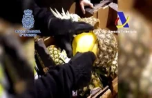 Przemyt dwustu kilogramów kokainy w ananasach