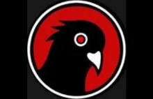 Black Pigeon Speaks zbanowany na Youtube bez ostrzeżenia! Cały kanał skasowany!