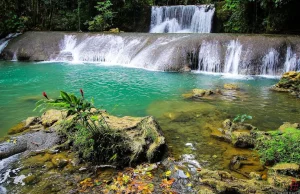 Wodospady Jamajki - YS Falls, Dunn's, Konoko