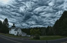 Niesamowite undulatus asperatus