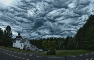 Niesamowite undulatus asperatus