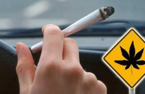 Co grozi za jazdę pod wpływem narkotyków? - Cannabis News