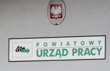 Coraz częściej firmy oczekują od pracowników, że będą pracować za darmo!