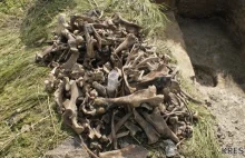 Poszukiwania masowego grobu ofiar UPA w Ostrówkach na Wołyniu