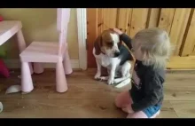 Baby's priceless reaction to the dog, who destroyed her favorite bowl