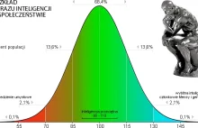 Inteligencja i testy IQ oraz ranking sławnych ludzi