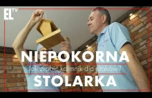 Jak zrobić karmnik dla ptaków? - [Niepokorna stolarka #3]