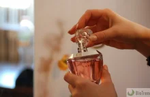 Jak właściwie stosować perfumowane feromony?