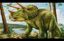 Triceratops - roślinożerny przeciwnik tyranozaura