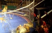 Atak Lwów w ukraińskim cyrku