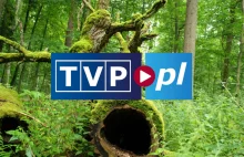 TVP wycina "Sondę 2", bo mówili w niej o Puszczy Białowieskiej
