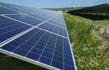 Ile kosztuje budowa farmy słonecznej i jak szybko się zwróci?