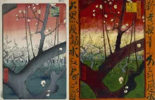 Vincent van Gogh kochał sztukę japońską ogromnie, choć nigdy w Japonii nie był