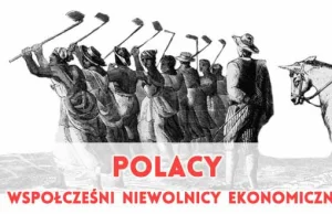 Kolonizacja ekonomiczna Polski - przyczyny i skutki