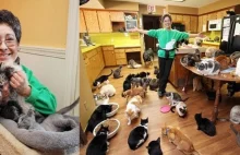 Kobieta żyje z tysiącem uratowanych kotów. Poczekaj, aż zobaczysz jej cały dom!
