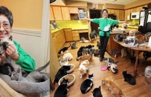 Kobieta żyje z tysiącem uratowanych kotów. Poczekaj, aż zobaczysz jej cały dom!