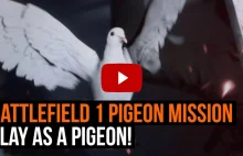 W kampanii Battlefield 1 musimy grać gołębiem