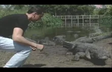 Mariusz Max Kolonko vs Aligator !