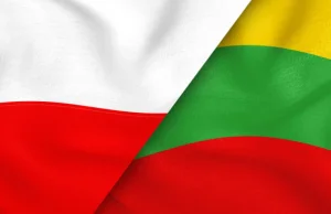 Litewski radny chce przyłączyć Suwałki do Litwy