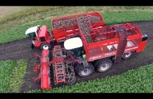 12 row Sugarbeet harvesting