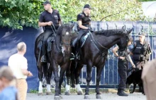 Kielecka policja traci grunt pod nogami – kibice Korony idą na wojnę