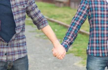 To nie geje zagrażają rodzinie, ale "singielstwo" i rosnąca liczba rozwodów