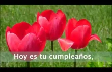 Hoy es tu cumpleaños felicitaciones flores