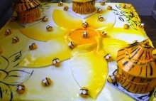 Uloterapia - czyli jak wykorzystać pszczoły by być jeszcze zdrowszym