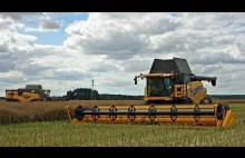 New Holland CR9090 Elevation - Najwydajniejszy kombajn w akcji