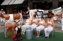 Obrończynie zwierząt dały się "wydoić" w centrum miasta aby zaprotestować...