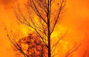 Nieco przerażające zdjęcia z pożarów lasów w Katalonii.