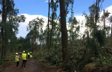 Trąba powietrzna zniszczyła las.Odbudowa będzie kosztowała co najmniej 40 mln zł